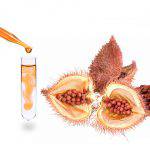 graines de rocou, bixine, norbixine, colorant naturel, colorants alimentaires naturels, bioconcolorants